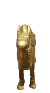 camel