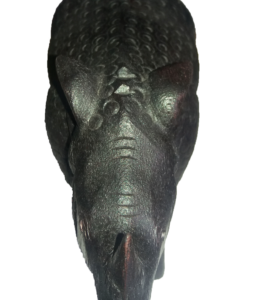 rihno
