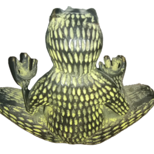 frog