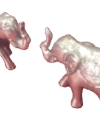 elephant-two-elephant-toward-face