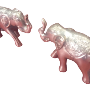 elephant-two-elephant-toward-face