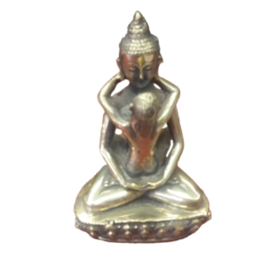 budha-sakti