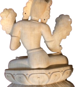 tara-1