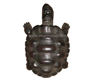 Wooden Tortoise