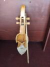 plain-sarangi