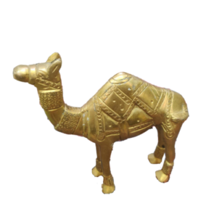 camel