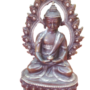 amitabh-buddh-with-purva