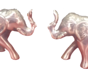 elephant-two-elephant-toward-face