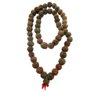 big-rudraksha-necklace