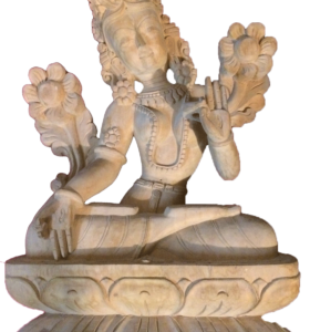 tara-1