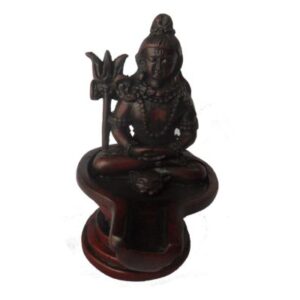 lord-shiva-on-lingam
