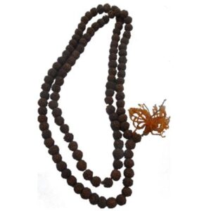 small-rudraksha