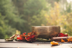 Benefits of Using Singing Bowls for Meditation 1 istockphoto 500205572 612x612 1